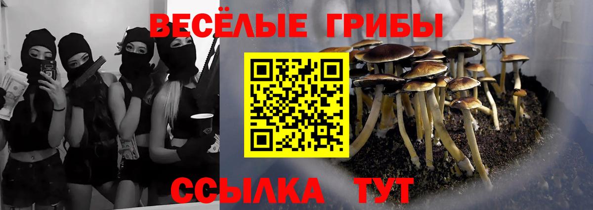 Галлюциногенные грибы мухоморы Урай